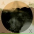 AL X