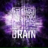 Brain