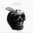 CunninLynguists
