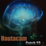 Hautacam