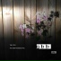 Tim Vitek