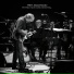 Trey Anastasio