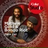 Mathew Gold, Bongo Riot