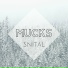 Snital