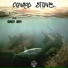 Conrad Stone