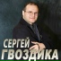 Сергей Гвоздика (Мельков)