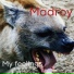madroy