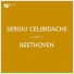 Sergiu Celibidache