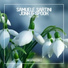 Samuele Sartini, Jonk & Spook