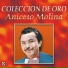 Aniceto Molina