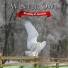 Winter Owl