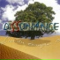 Dissonance