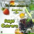 Fayo Cabrera