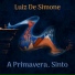 Luiz de Simone