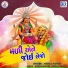 Vishal Hapor