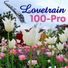 Lovetrain