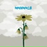 Relient K