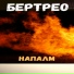 БерТрео