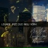 Lounge Jazz Duo New York