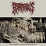 Astriferous