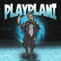 Plani