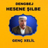 Dengbej Hesene Şilbe