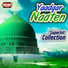 Owais Raza Qadri