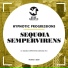 Hypnotic Progressions