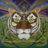 Mystic Tiger