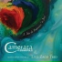 Camerata Florianópolis, Luiz Gustavo Zago