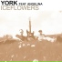 YORK & ANGELINA