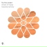Flux Flow Project