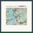 Wild Nothing