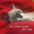Pet Care Music Therapy