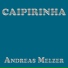Andreas Melzer