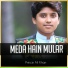 Prince Ali Khan