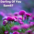 Sam97