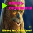 Analog Chewbakka