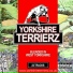 Yorkshire Terrierz