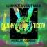 Illusionize, Visage Music