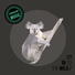 Elastic Devils, Vip