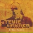Stevie Wonder