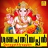 Vyga Prasad