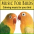 Pet Music Artists