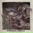 Evergreen Terrace