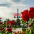 Eloge