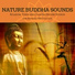 Kistaro & Tranquil Music Sound of Nature