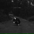 Auram feat. Wrenn