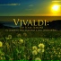 Vivaldi (Virtuosi di Roma)