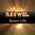 Asswel